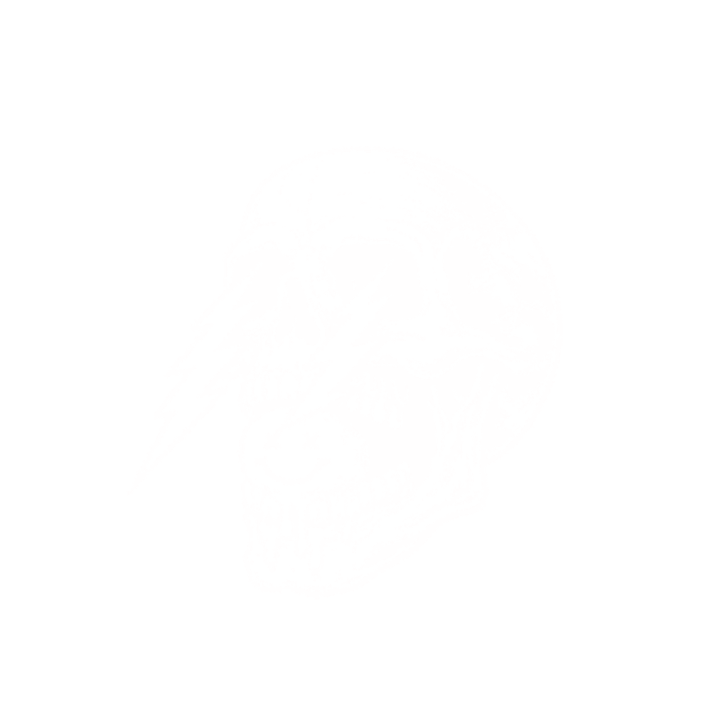 FitzFlix Productions